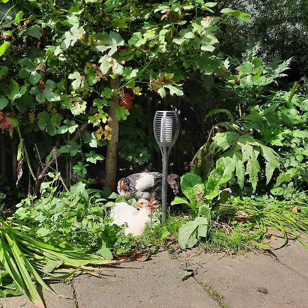 De Akker, Unieke Overnachting In Pipowagens! Ommeren Exterior foto